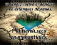/album/fotogaleria-promesas/h6-jpg/