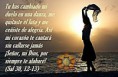 /album/fotogaleria-promesas/h12-jpg/